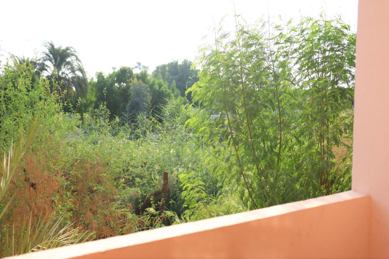 Apartament Luxor Nile View Flats Zewnętrze zdjęcie